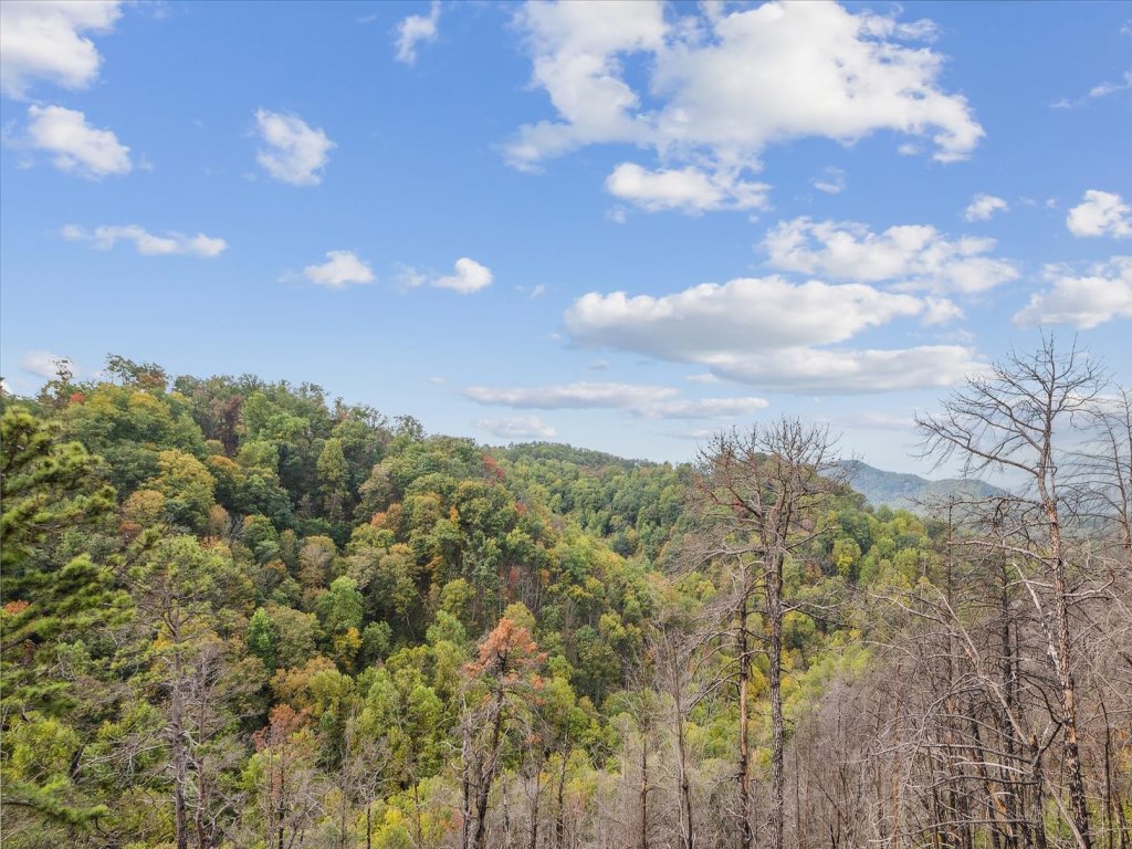 Little Bear Lodge Vacation Rental in Sevierville - RedAwning