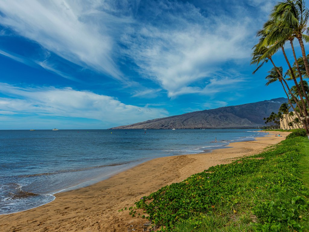 Maalaea Surf G8 Vacation Rental in Kihei - RedAwning