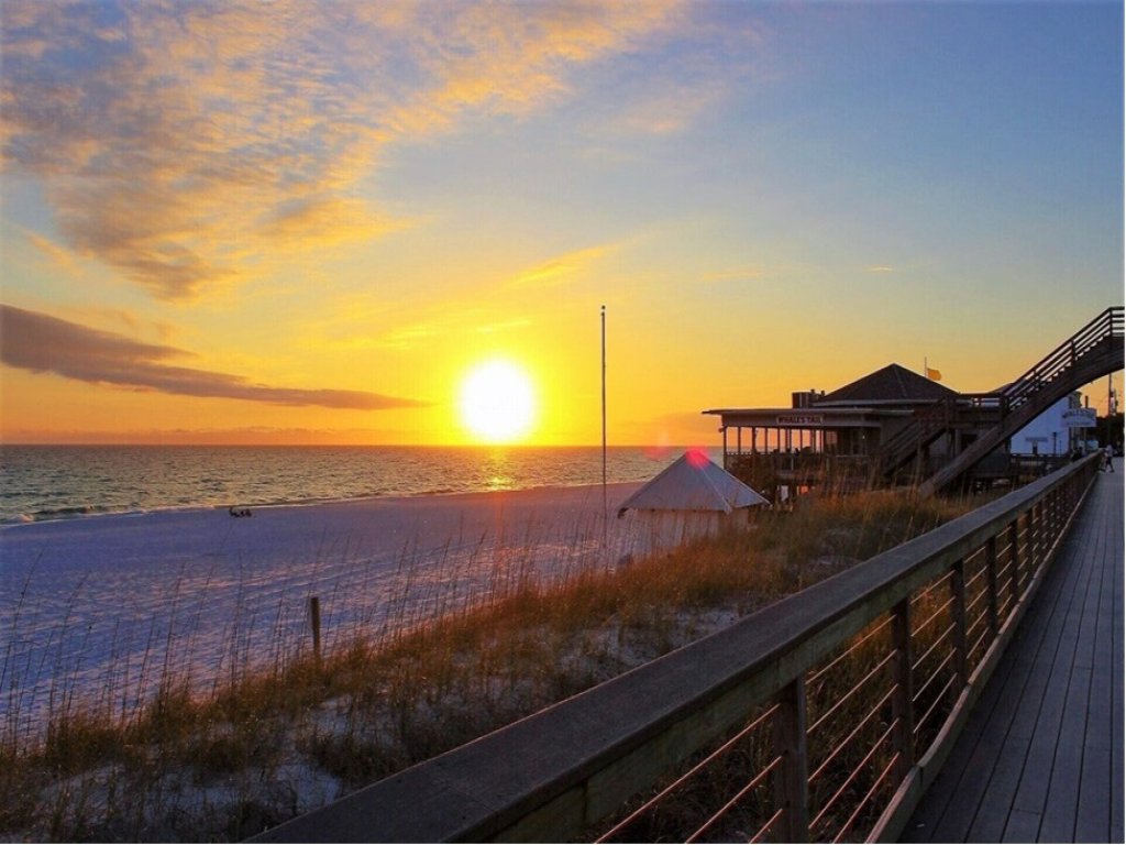 Chick n Dudes Beach Escape 122 Vacation Rental in Miramar Beach - RedAwning
