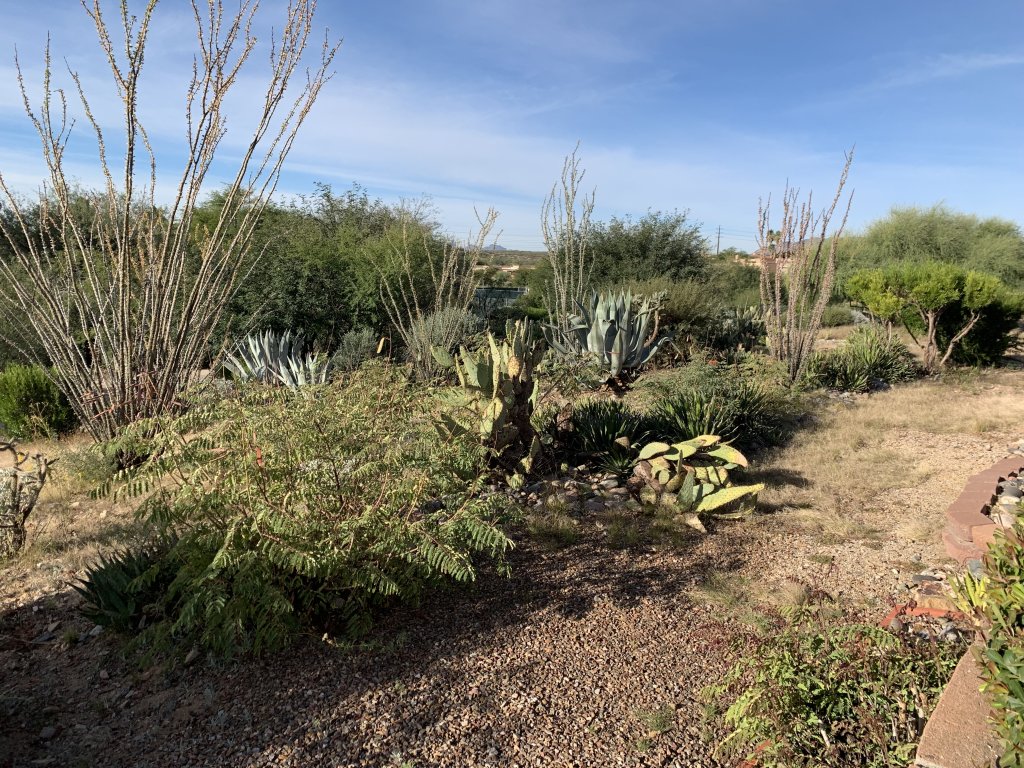Garden Home with Mountain & Desert Views Vacation Rental in Arizona - RedAwning