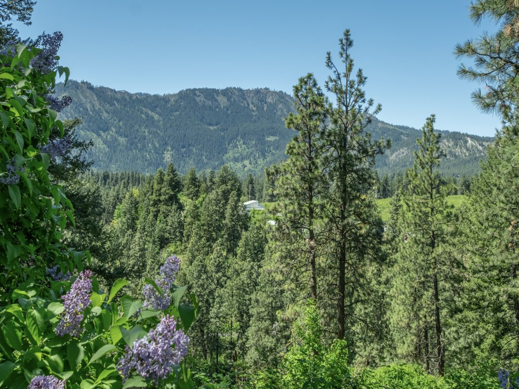 River Heights Home Vacation Rental in Leavenworth - RedAwning