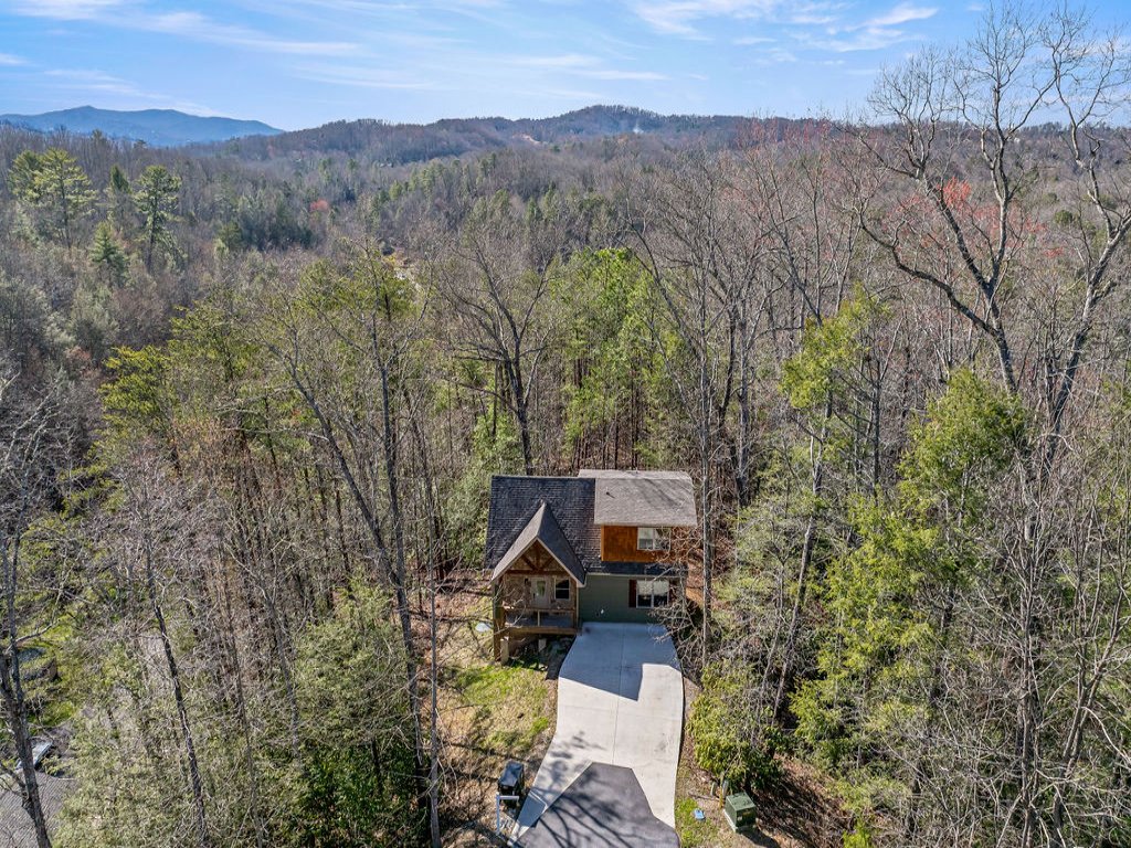 Bobcat Den Vacation Rental in Gatlinburg - RedAwning