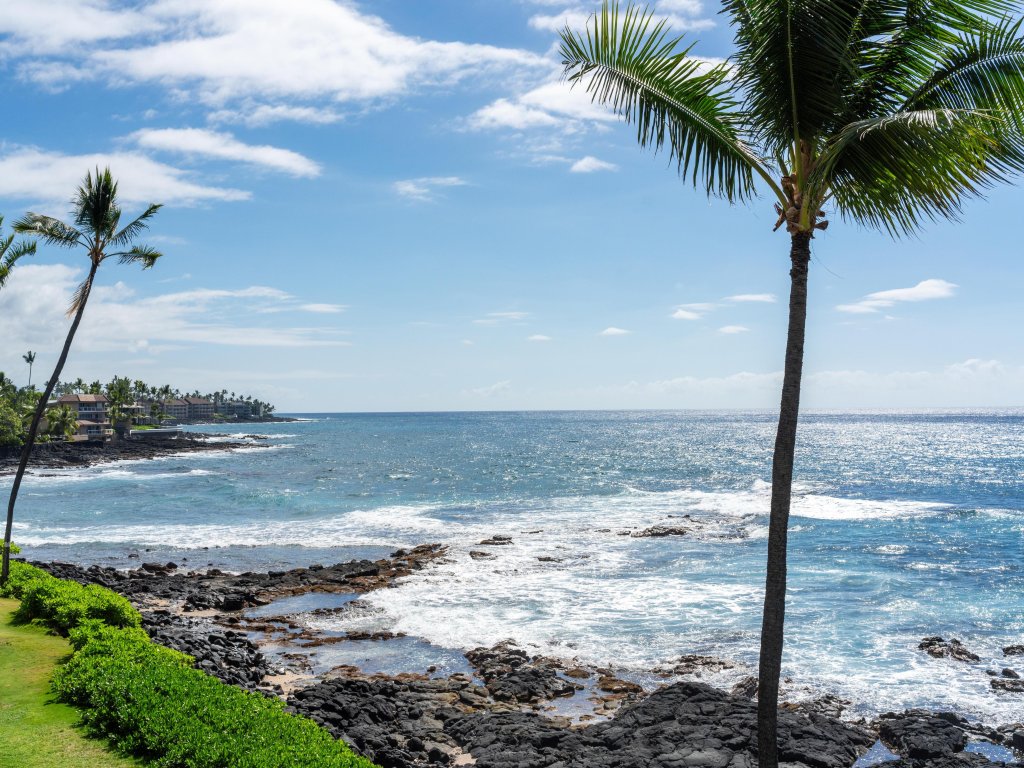 Big Island Kona Reef D-22 Vacation Rental in Kailua Kona - RedAwning