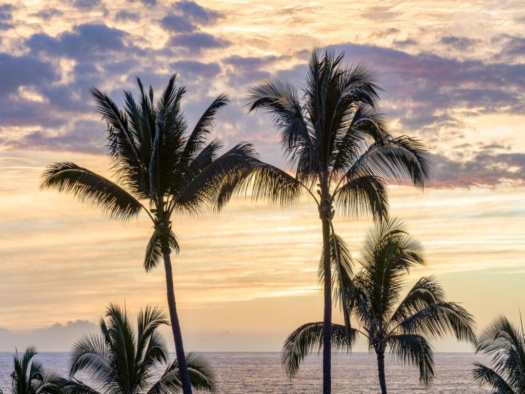 Big Island Aloha Pearl House Vacation Rental in Hawaii - RedAwning