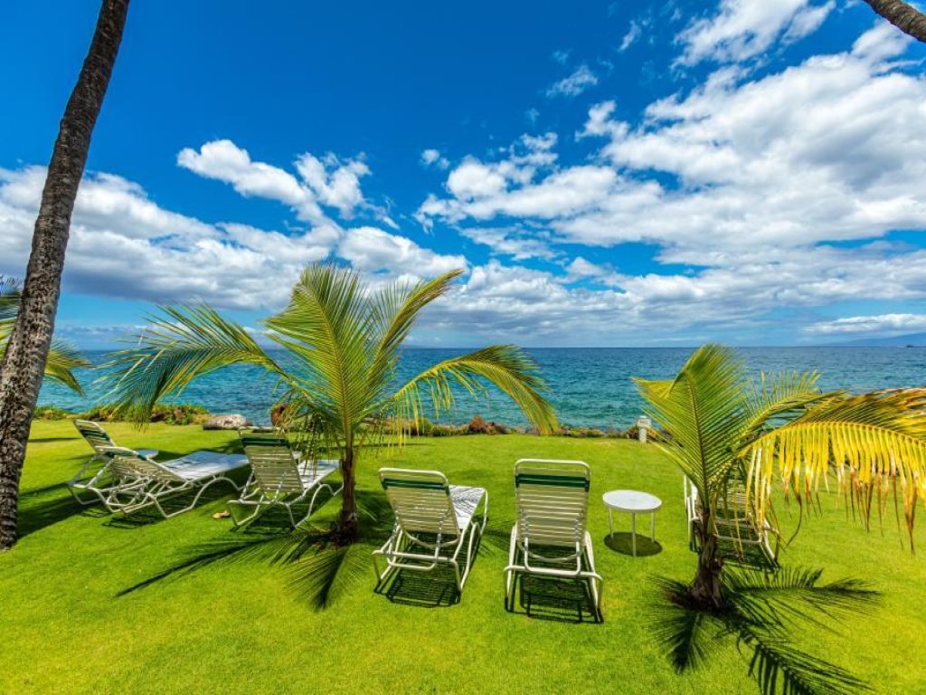 Gorgeous Oceanfront Condo!  - Kamaole Nalu #504 Vacation Rental in Hawaii - RedAwning