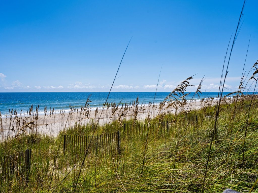 Palmetto Cottage Vacation Rental in South Carolina - RedAwning