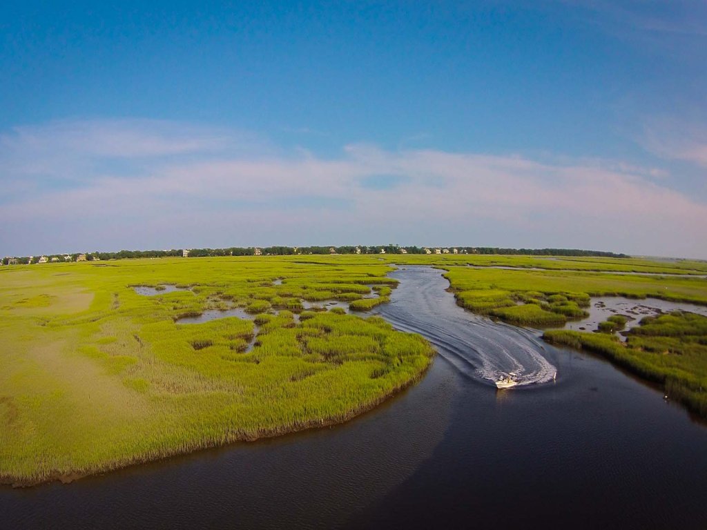 The Nautilus Vacation Rental in South Carolina - RedAwning