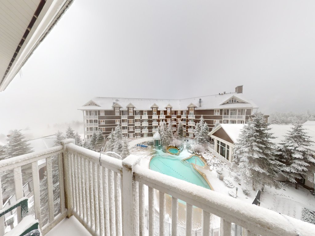 Allegheny Springs 411 - Brigham Studio Condo Vacation Rental in Snowshoe - RedAwning