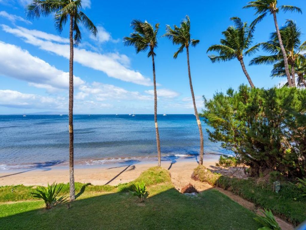 SUGAR BEACH RESORT, #235 Vacation Rental in Hawaii - RedAwning