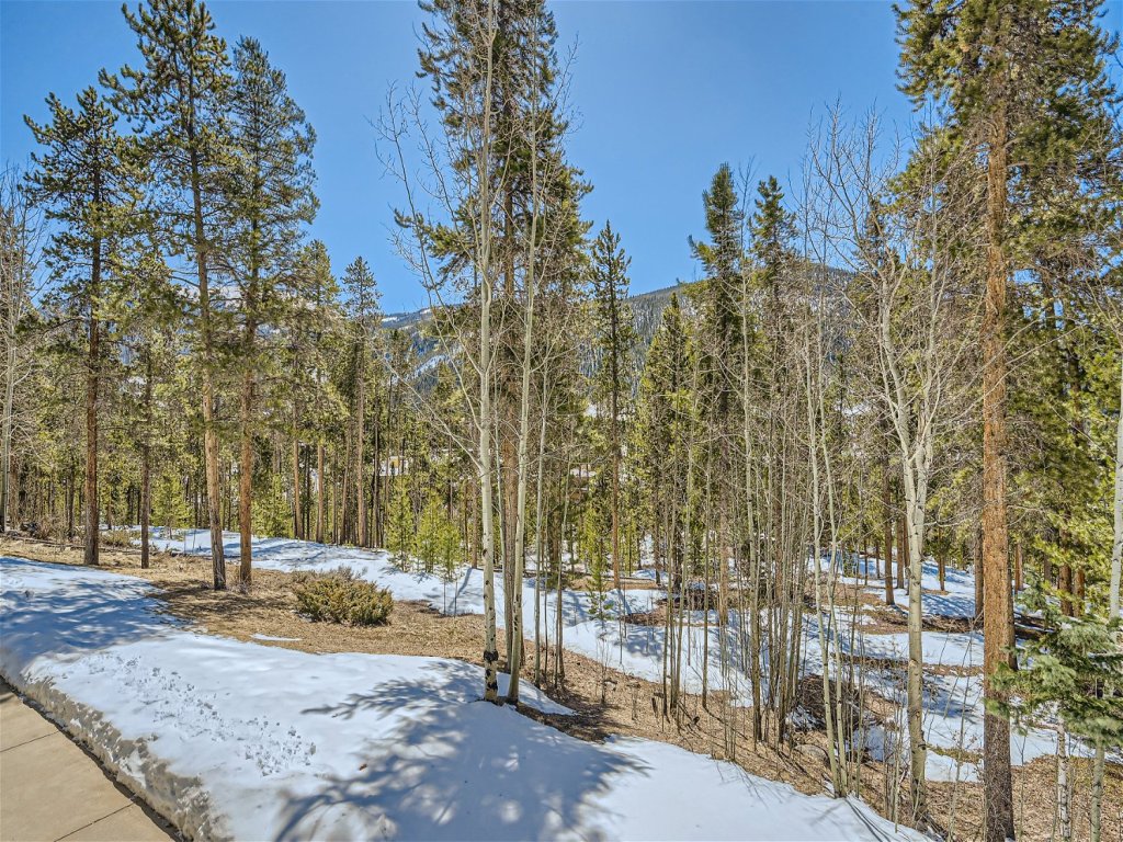 2509 Saints John Vacation Rental in Keystone - RedAwning