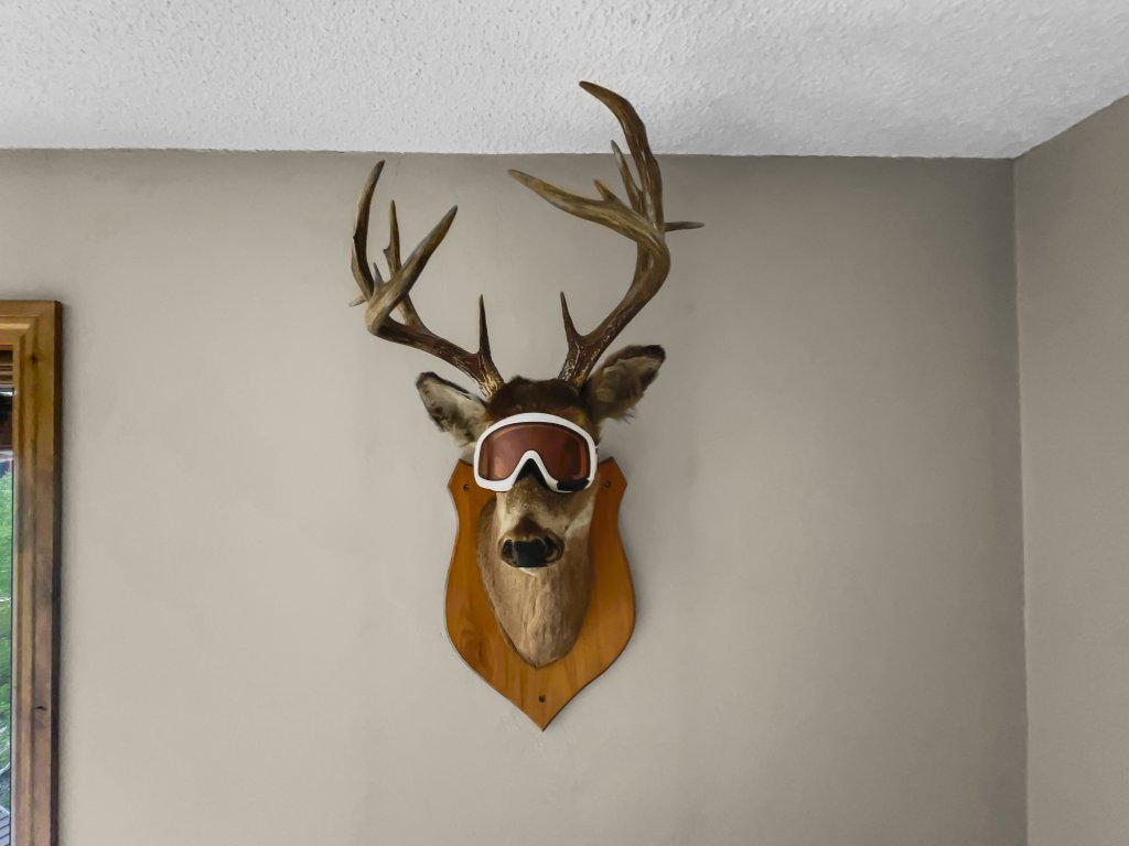 BE310 Bridge End Pet Friendly Vacation Rental in Copper Mountain - RedAwning