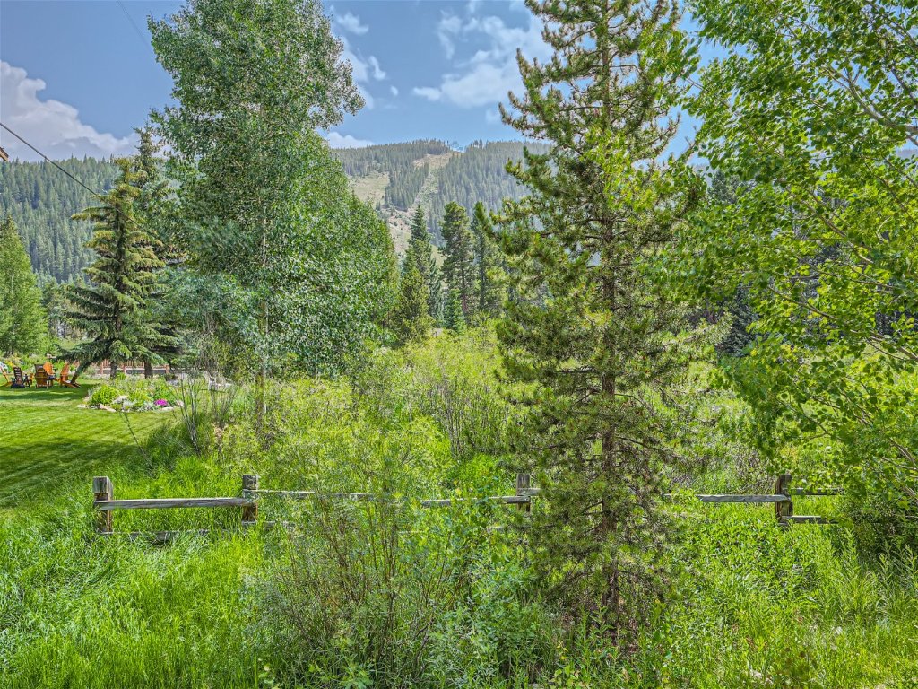 13 Liftside Vacation Rental in Keystone - RedAwning
