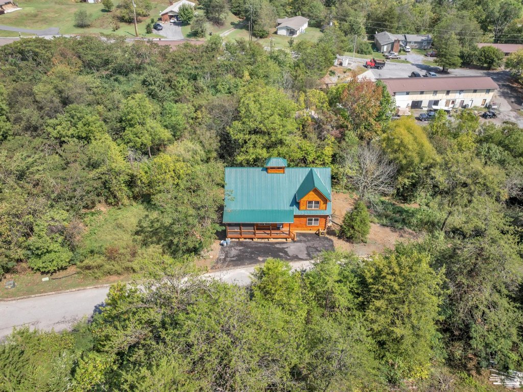 ERN803 - Beary Blue Oasis Vacation Rental in Pigeon Forge - RedAwning