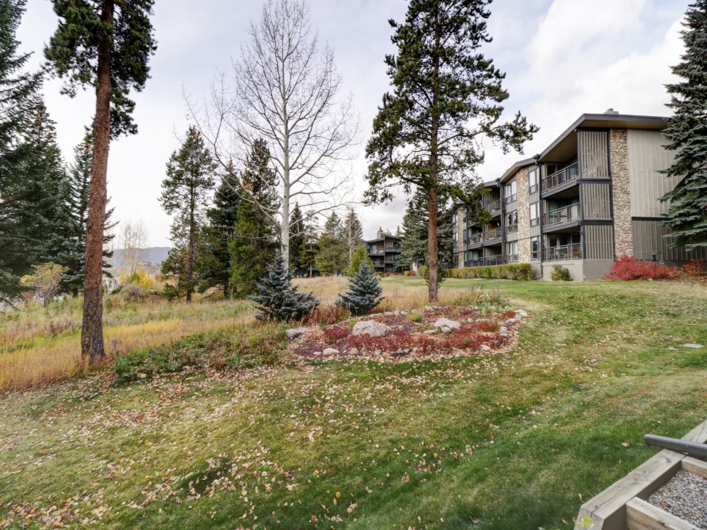 A106 Lake Cliffe Vacation Rental in Dillon - RedAwning