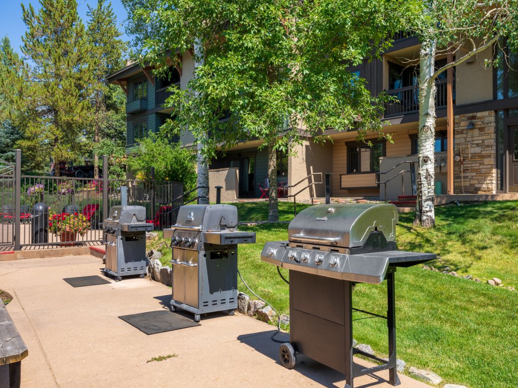 Phoenix 223 Vacation Rental in Steamboat Springs - RedAwning