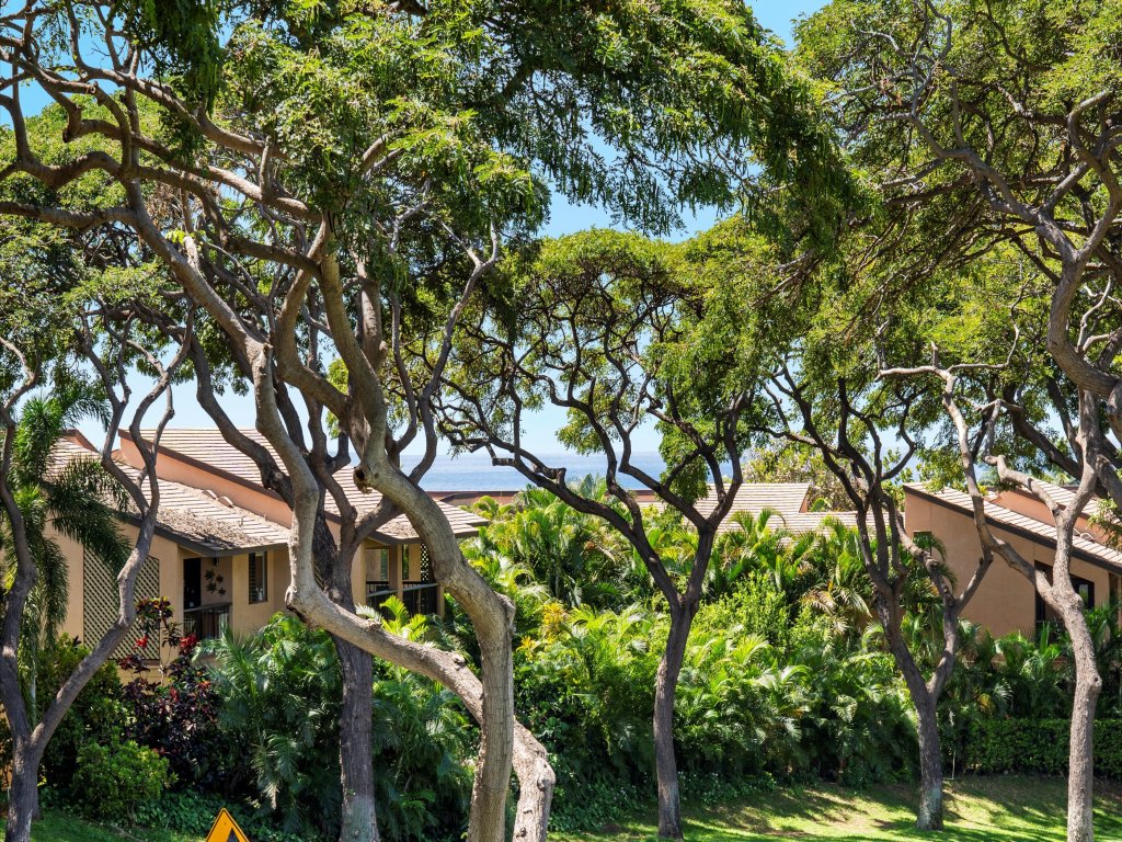 Palms at Wailea 604 Vacation Rental in Kihei - RedAwning