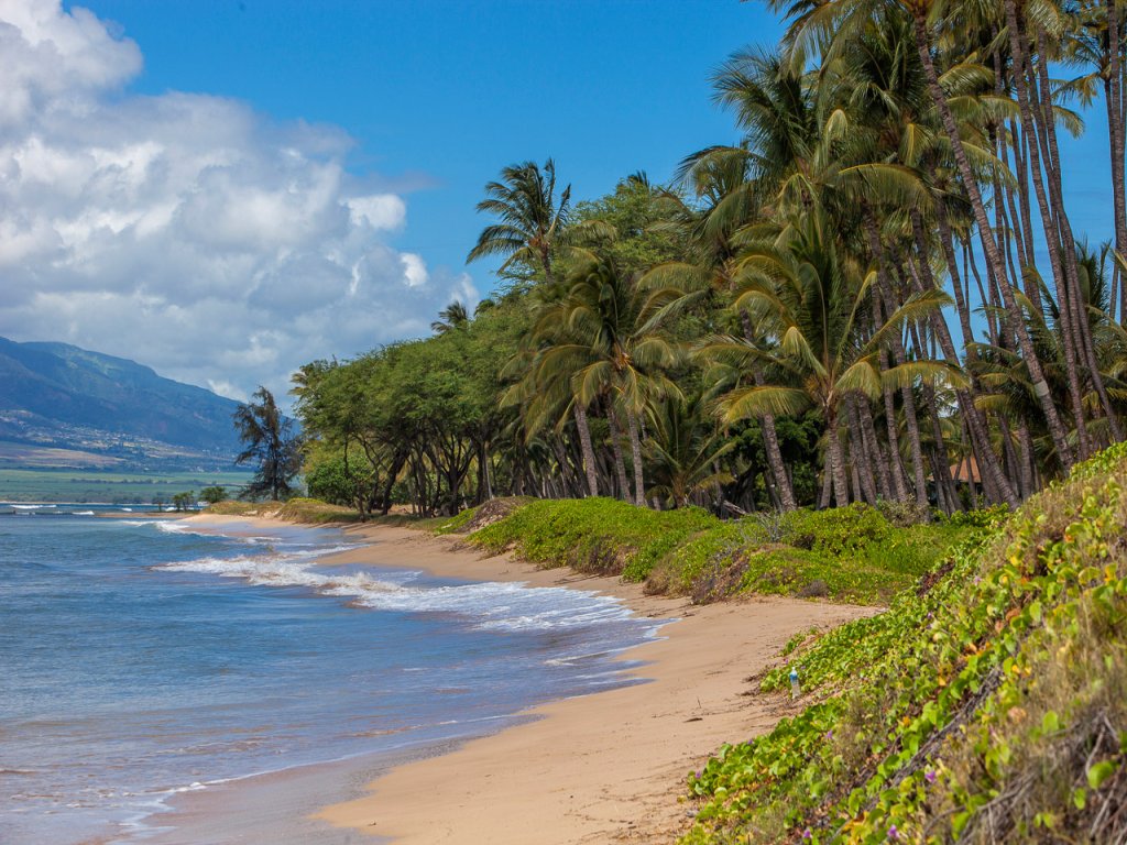 Kihei Garden Estates G204 Vacation Rental in Kihei - RedAwning