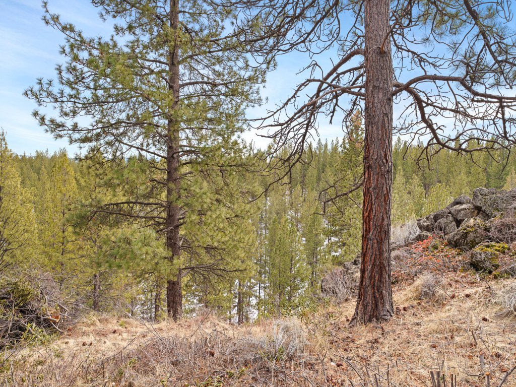 Seventh Mountain 1417 Vacation Rental in Bend - RedAwning