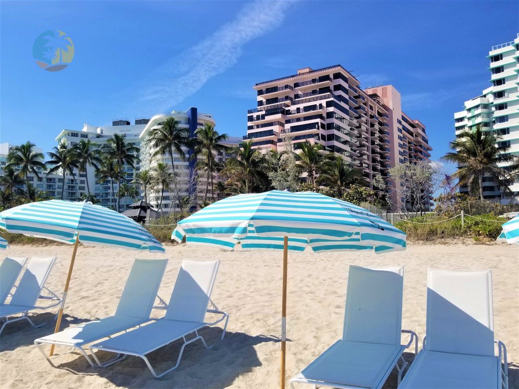 Alexander 1102 Vacation Rental in Miami Beach - RedAwning