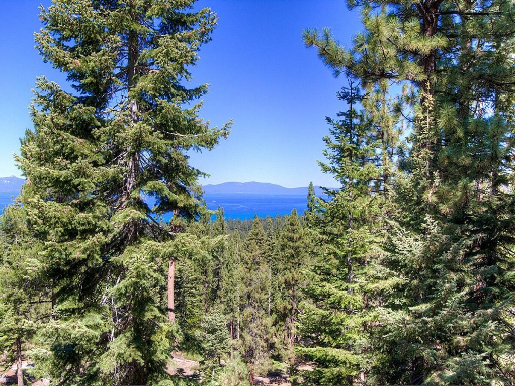 HCH1239 - Heavenly Tree House Vacation Rental in California - RedAwning