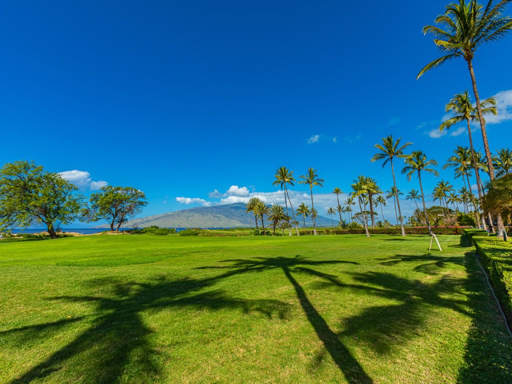Luana Kai C203 Vacation Rental in Kihei - RedAwning