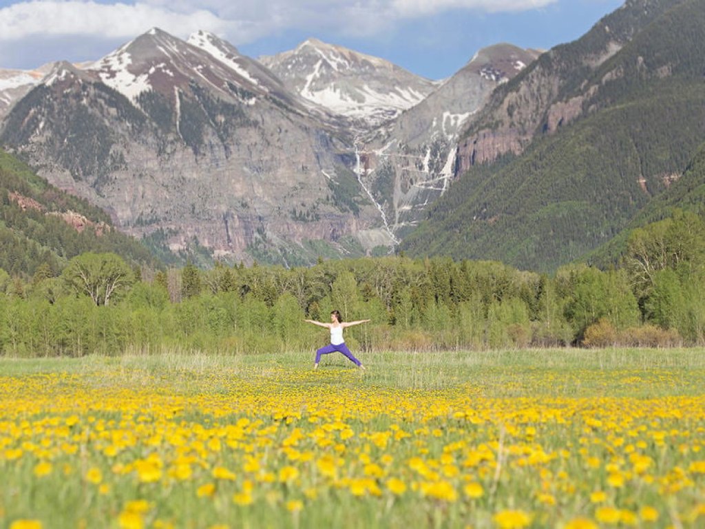Sky & Grove at Ski Ranches Vacation Rental in Telluride - RedAwning