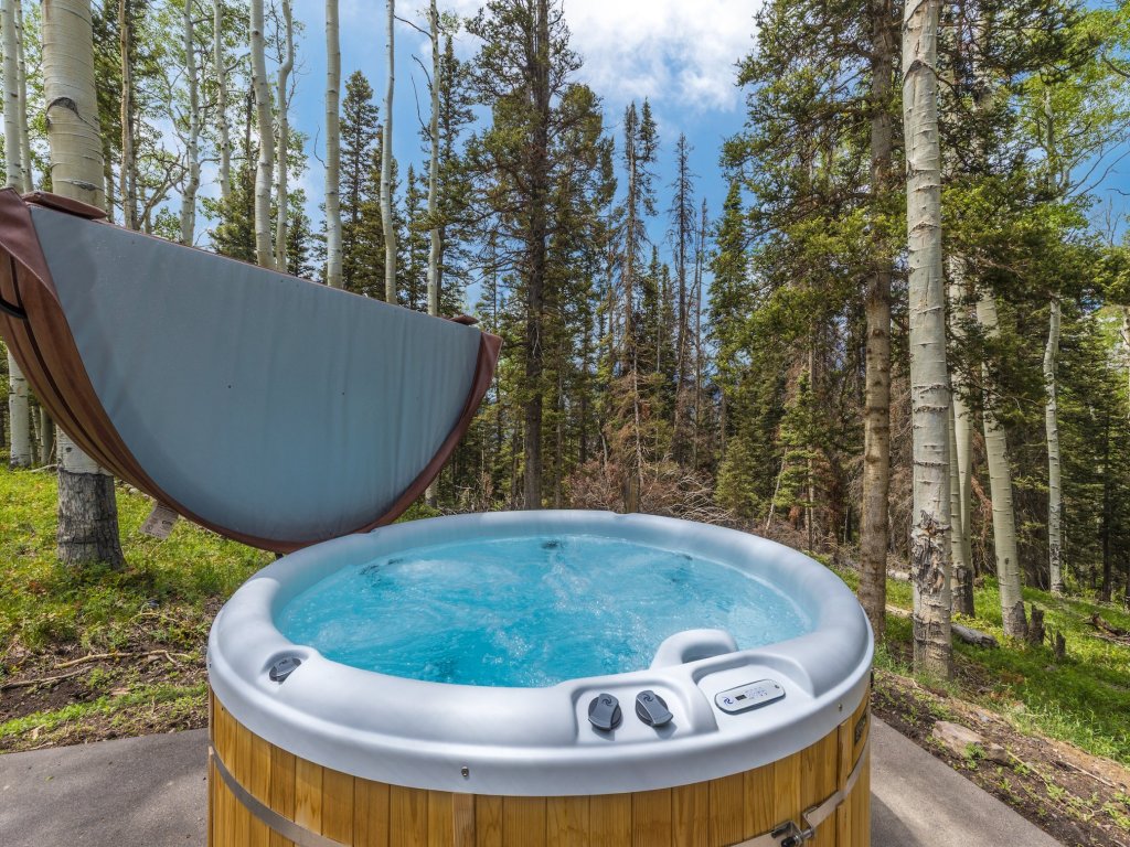 Sky & Grove at Ski Ranches Vacation Rental in Telluride - RedAwning
