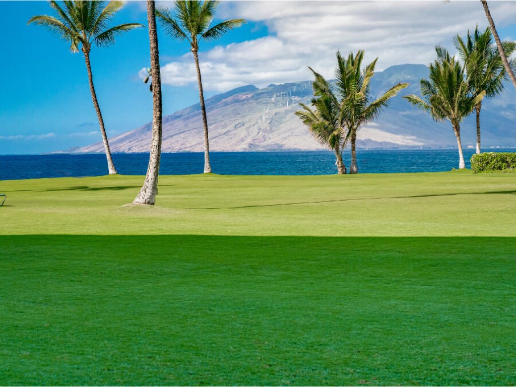 KIHEI SURFSIDE, #501 Vacation Rental in Hawaii - RedAwning