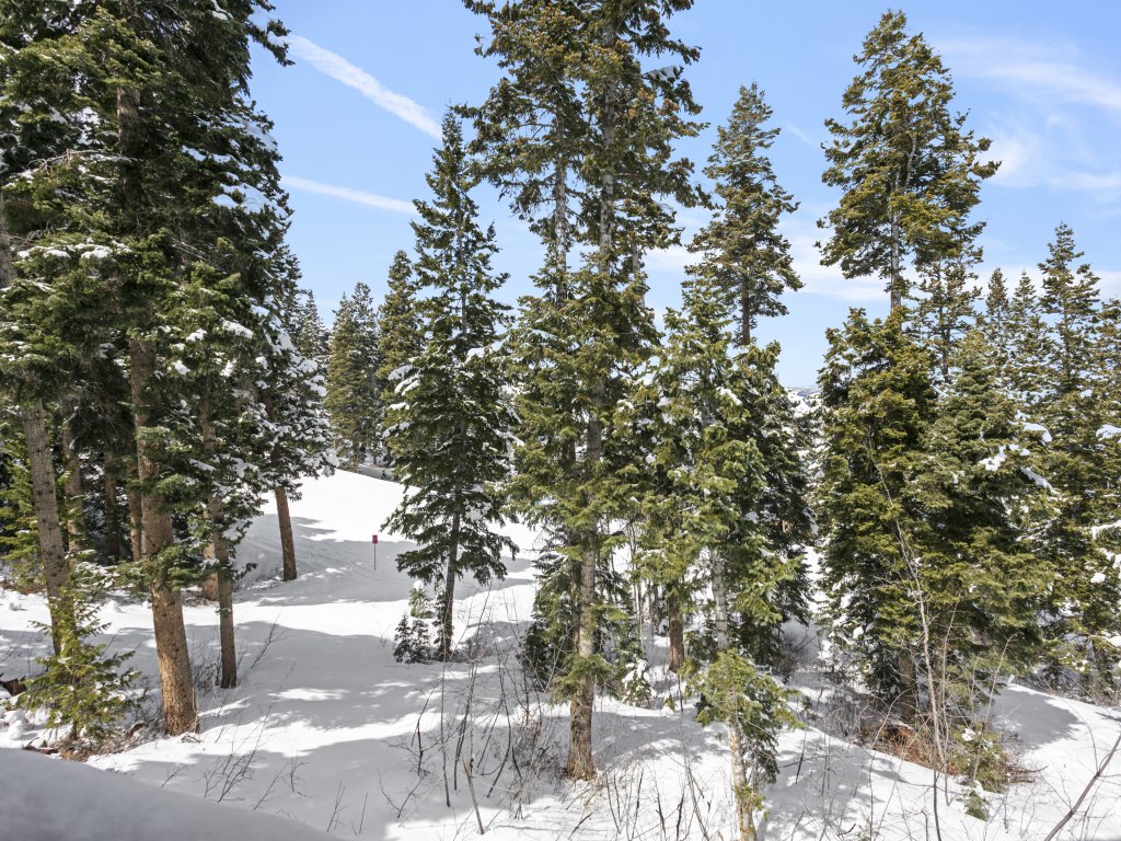 6977 Silver Lake Drive - 5 Bedroom Private Home with Hot Tub Vacation Rental in Park City - RedAwning