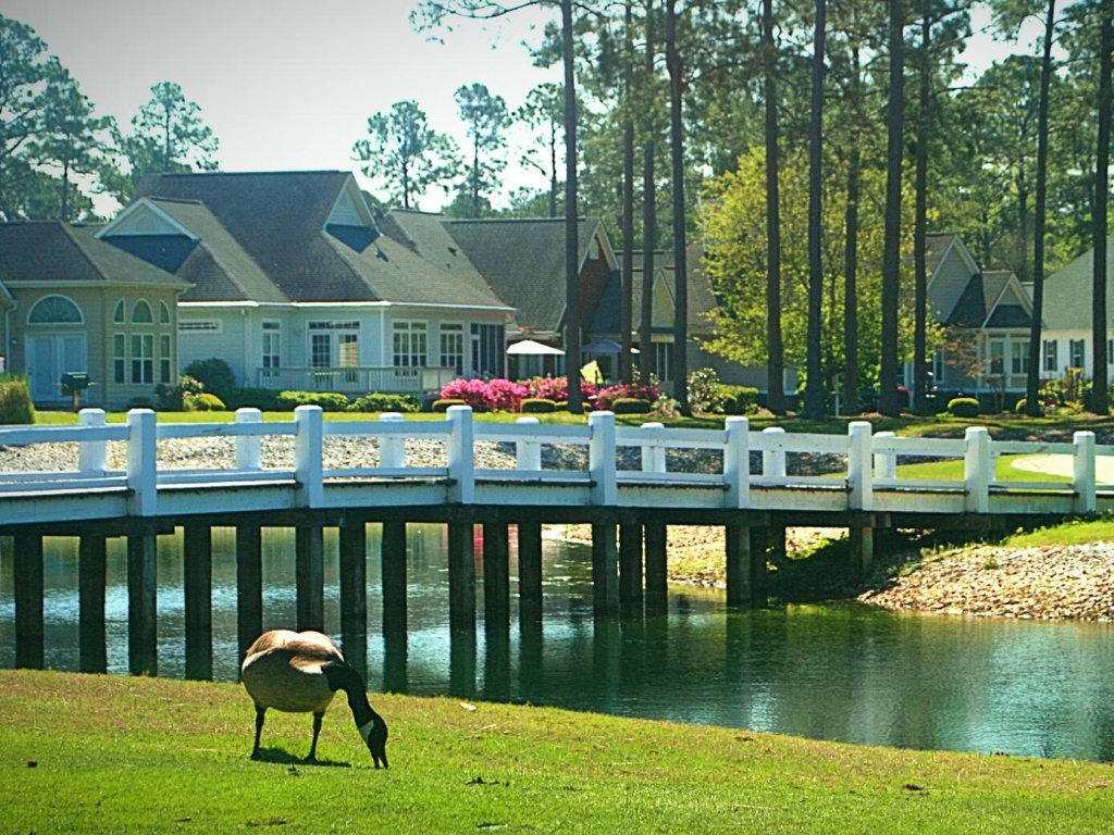 2703M Vacation Rental in Calabash - RedAwning