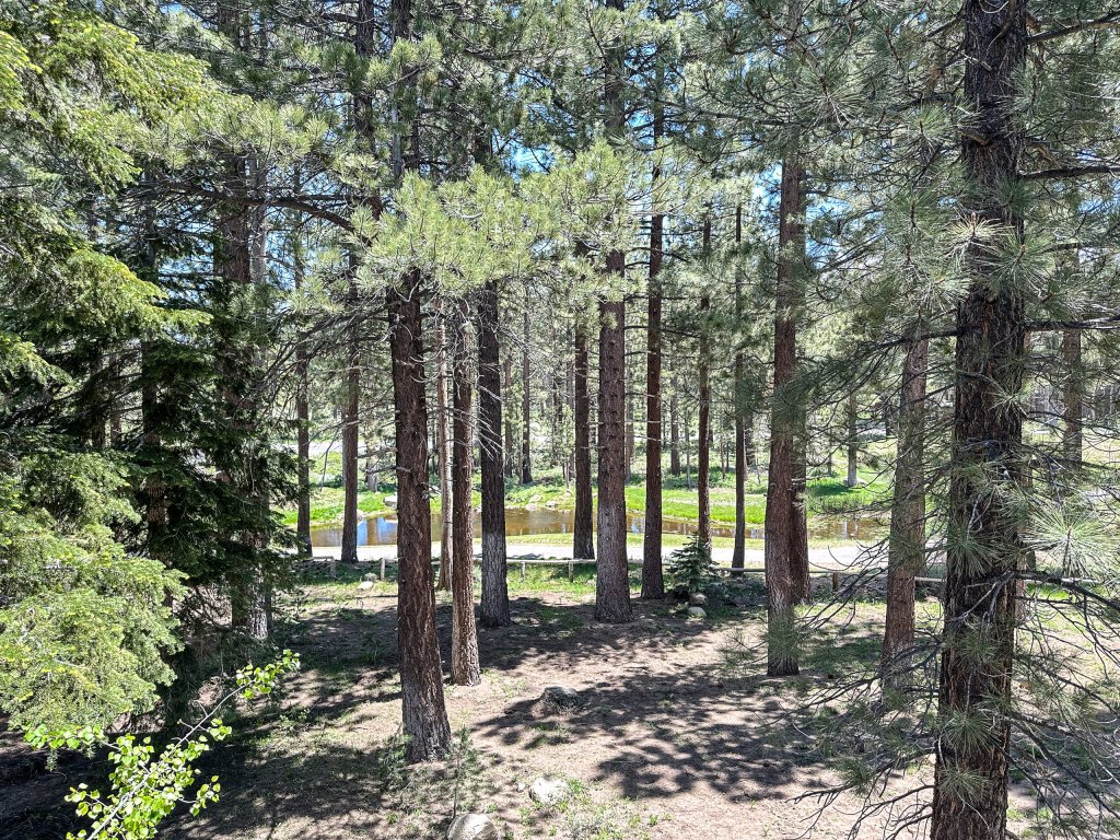Timbers #2 Vacation Rental in Mammoth Lakes - RedAwning