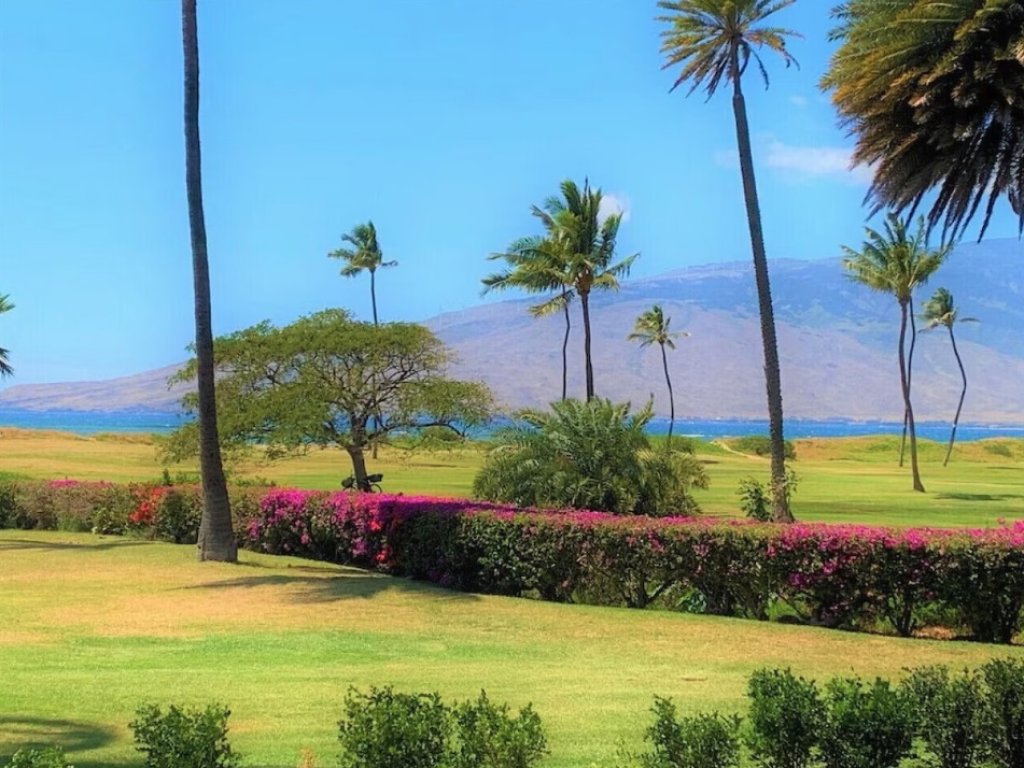 Luana Kai A104 Vacation Rental in Kihei - RedAwning