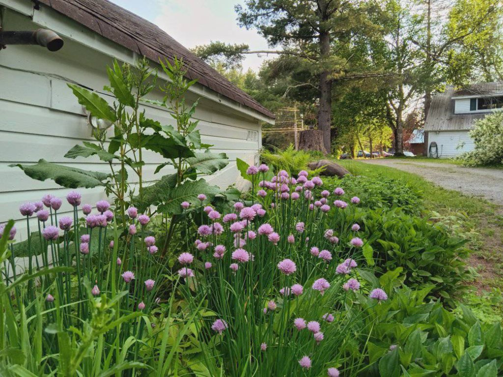 The Alpine Homestead™ | Book 3 Nights, 4th Free | Near Gore Mountain Vacation Rental in New York - RedAwning