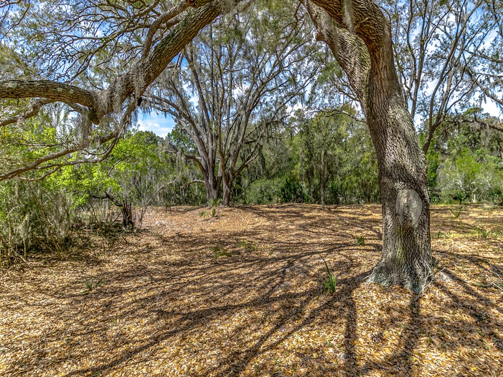 Sunny Days Vacation Rental in South Carolina - RedAwning
