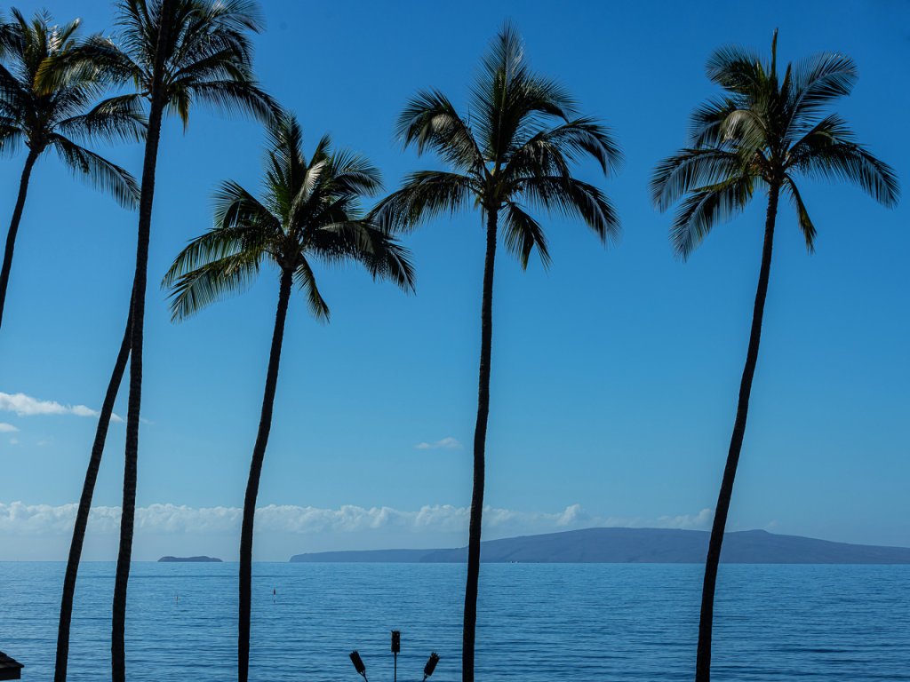 Maalaea Surf B1 Vacation Rental in Kihei - RedAwning