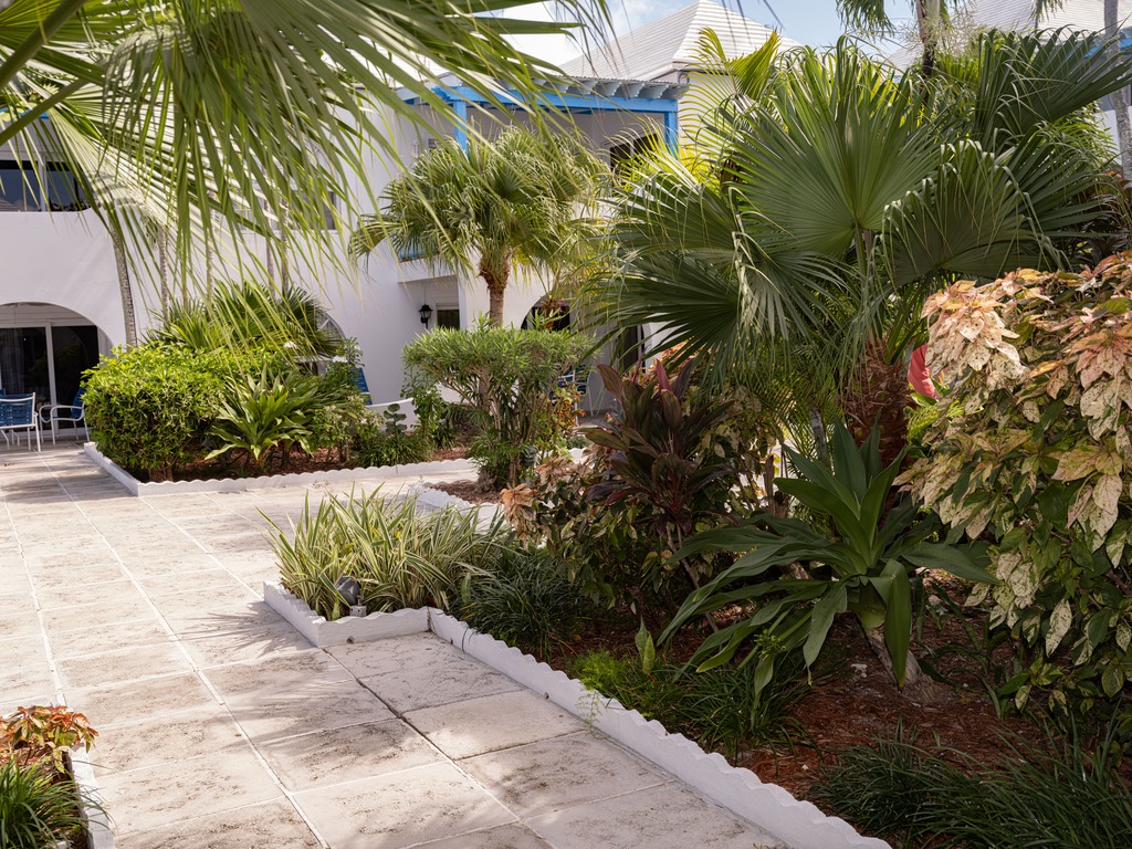 Ocean View Deluxe Villa at Paradise Island Beach Club Vacation Rental - RedAwning