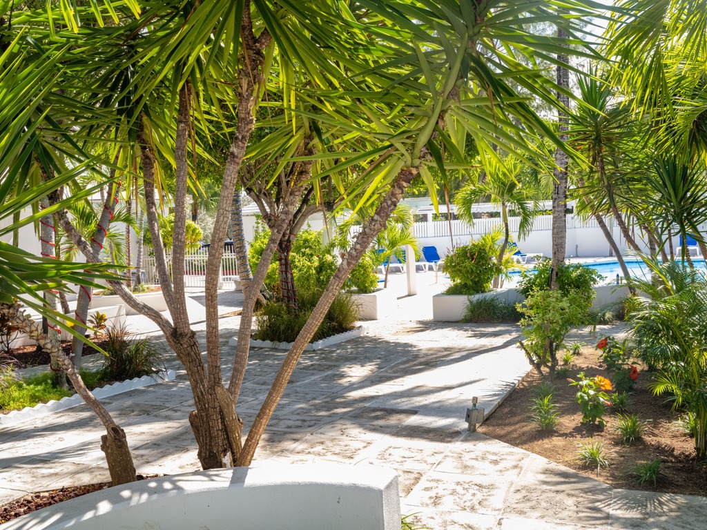 Ocean View Deluxe Villa at Paradise Island Beach Club Vacation Rental - RedAwning
