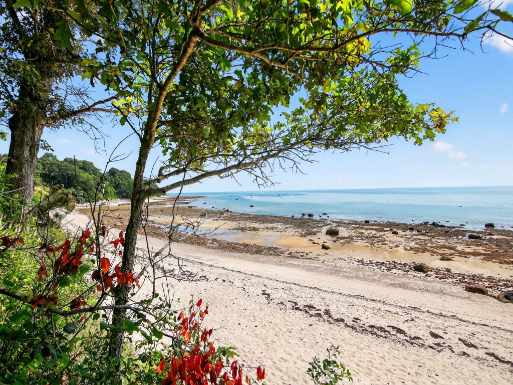 Ocean Views & Private Beach 3BR Nature Escape Vacation Rental in Massachusetts - RedAwning
