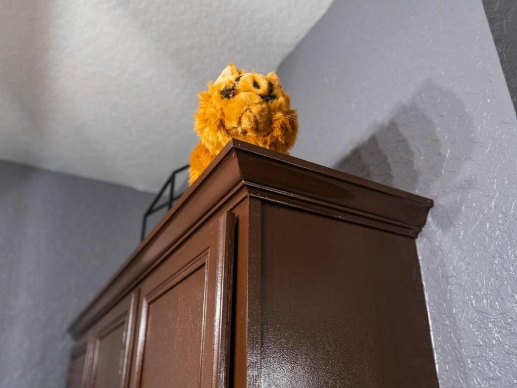 Fully Themed Harry Potter Getaway • Close Disney Vacation Rental in Davenport - RedAwning