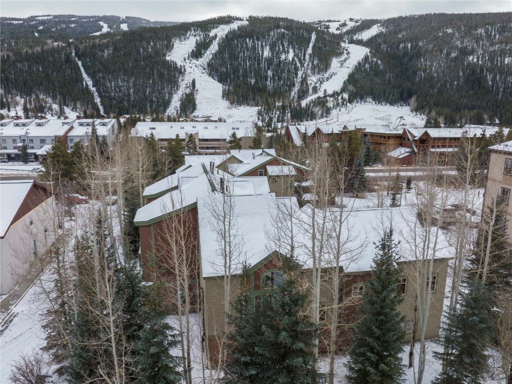 24 Autumn Brook Vacation Rental in Dillon - RedAwning
