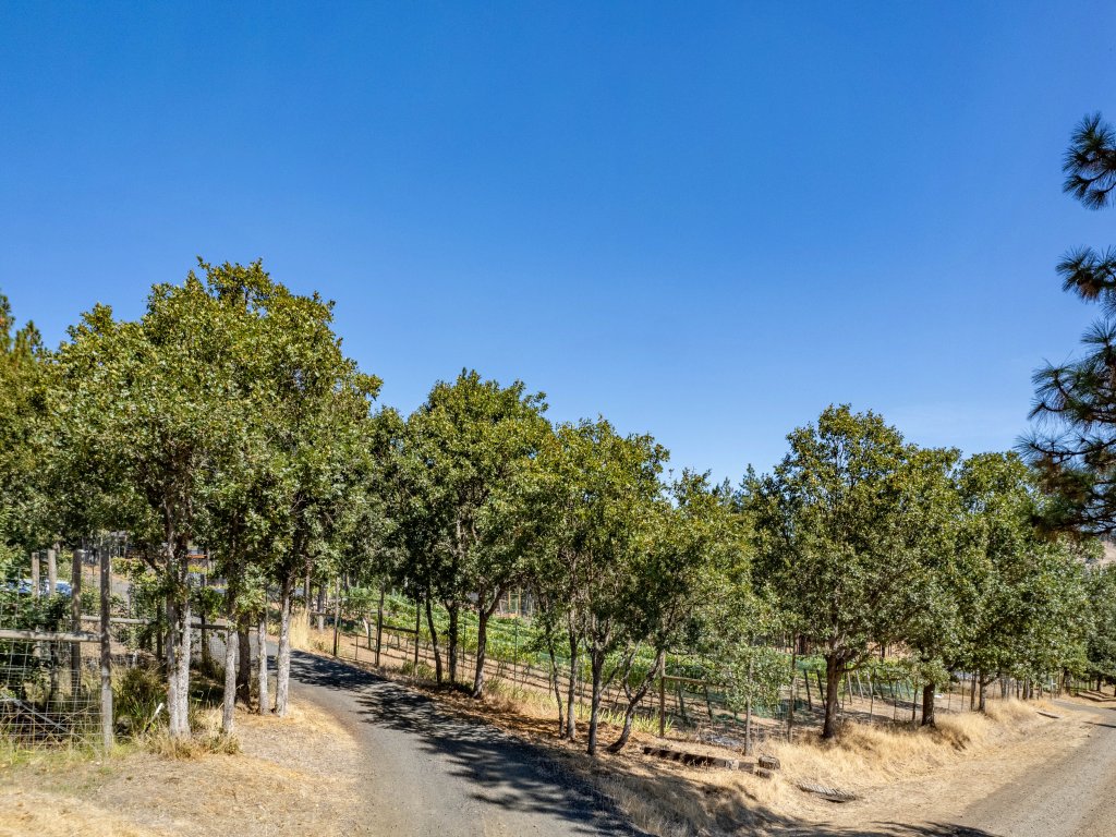 Happenstance Vineyards Vacation Rental in Mosier - RedAwning