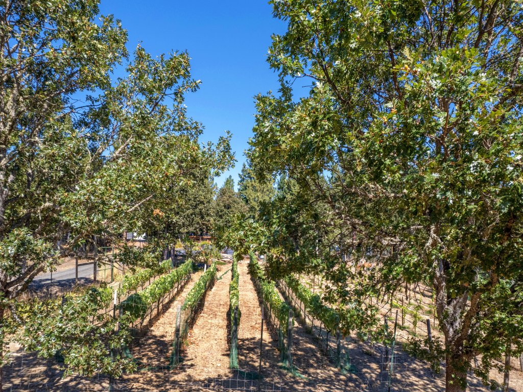 Happenstance Vineyards Vacation Rental in Mosier - RedAwning