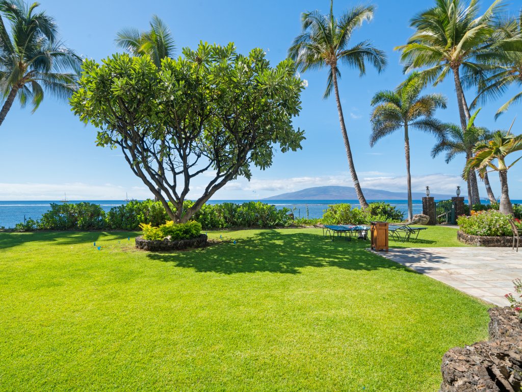 Lahaina Shores Ground Floor Ocean Front 1 Bed/2ba condo 109 Vacation Rental in Lahaina - RedAwning
