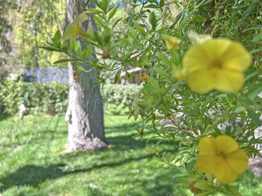 Roaring Fork Retreat Vacation Rental in Glenwood Springs - RedAwning