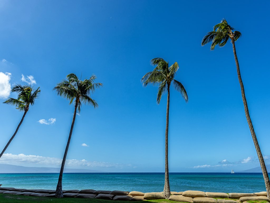 Valley Isle 1201 Vacation Rental in Lahaina - RedAwning