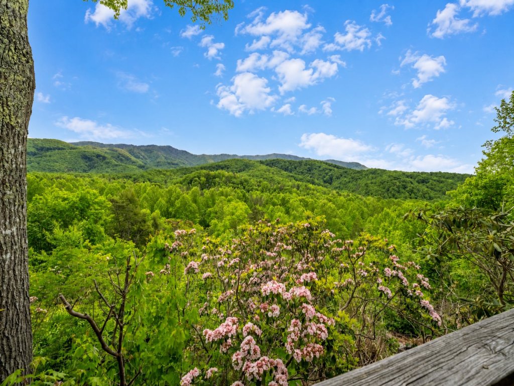 Seneca Vacation Rental in Gatlinburg - RedAwning