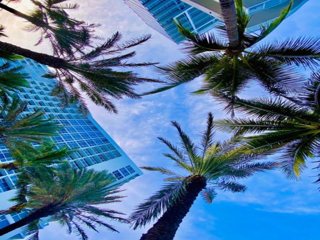2/2 Private Luxury Suite at Carillon Miami Beach Vacation Rental in Miami Beach - RedAwning