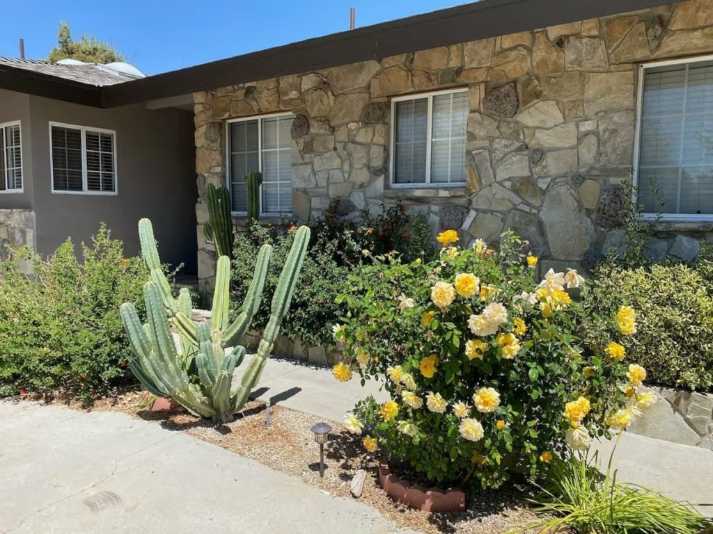 Indigo Sky Oasis - Pool, Hot Tub & Stargazing Vacation Rental in California - RedAwning