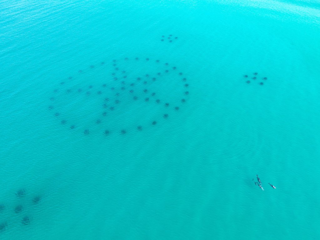 The Inn at Crystal Beach PH 702 Vacation Rental in Destin - RedAwning