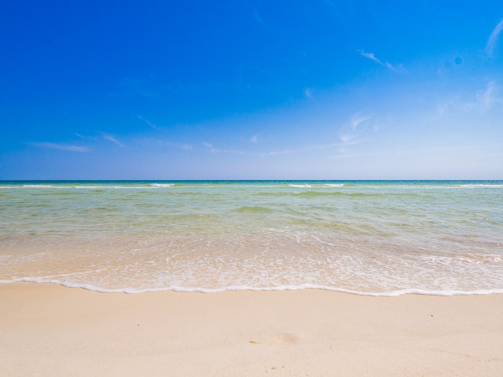 Wind Drift 604S Vacation Rental in Orange Beach - RedAwning